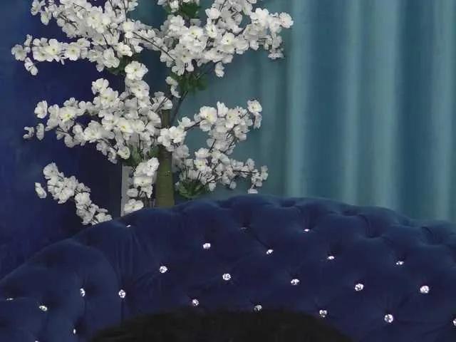 Offline AishaDelRey on BongaCams