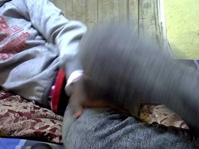 black-beauty — Freechat on BongaCams