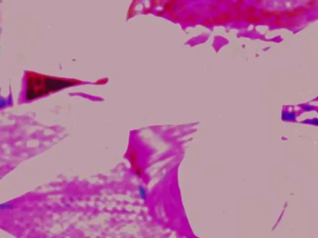 LollyGirlMoon on BongaCams