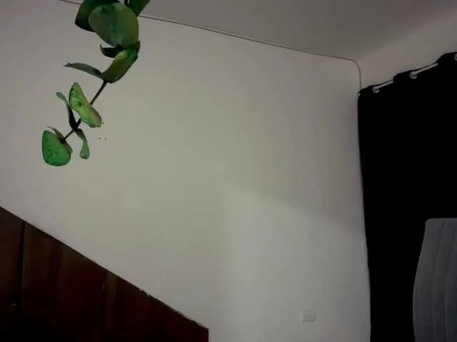 MarcellaGriffin on BongaCams