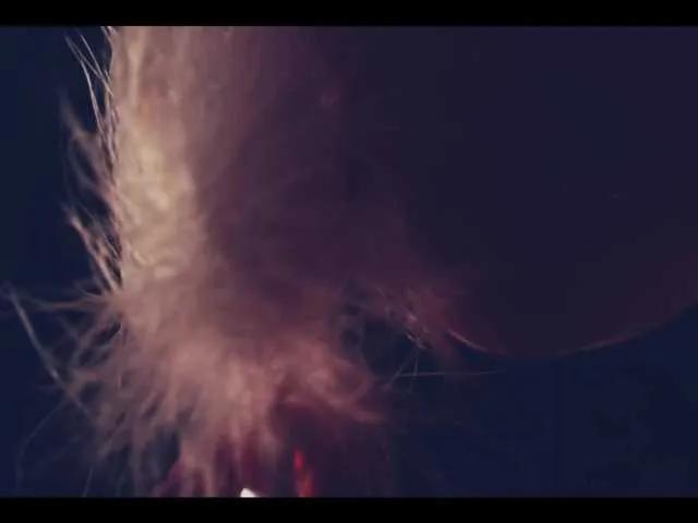 Freechat Taanni on BongaCams