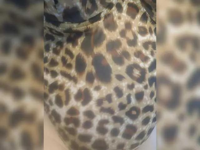 Freechat WetTigress on BongaCams