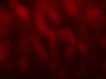 kloelamaravilla18 on Chaturbate