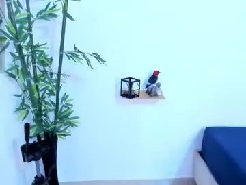 miss_danikaa on Chaturbate 