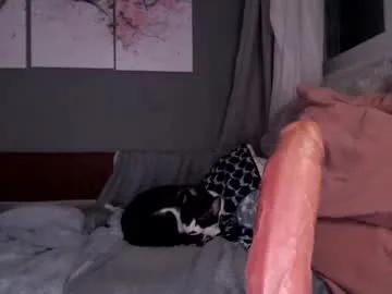 Freechat sexyella25 on Chaturbate