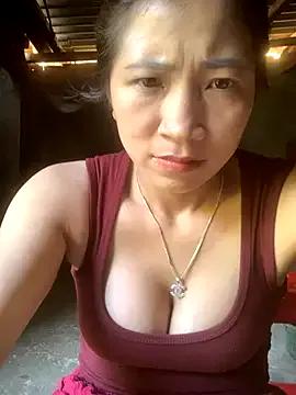 Freechat ThiHa003 on StripChat